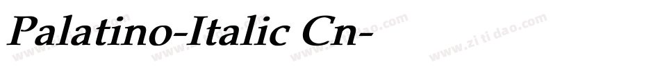 Palatino-Italic Cn字体转换